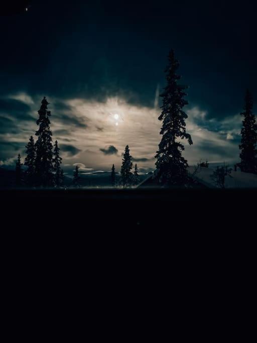 Peaceful Oasis. Panoramic Forest- & Mountain View. Sauna. Beitostolen Екстер'єр фото