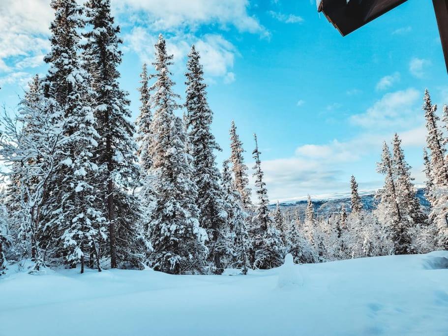 Peaceful Oasis. Panoramic Forest- & Mountain View. Sauna. Beitostolen Екстер'єр фото